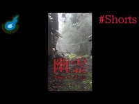 【心霊】岳集落で撮影してしまった幽霊を。。。#Shorts