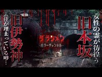 【心霊】旧伊勢神・旧本坂トンネル!!愛知県有名スポット【Japanese horror】Haunted tunnel.