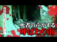 【危険スポット】絶対に一人では行かないでください。大変な事になります【水曜日の怪談#112】【閲覧注意】【心霊】