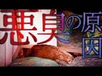 ”吐き気を催すほどの激臭”【明るみに出ない心霊スポット：旧旅館高尾の宿】