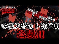 【心霊】心霊スポット第二弾　死亡例アリ！？そこそこ霊感がある奴が心霊スポット逢妻川に行ってみた…