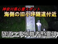 【神奈川県心霊スポット 旧小坪隧道付近】真の小坪トンネルのいわくつきの現場は意識高い系の住宅街にある【どるそー&K2さんと】