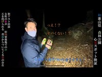 【心霊】森林公園での心霊スポット検証　女性の霊　兵隊の霊　背後からついてくる霊　石を投げられる現象　旧陸軍墓地があると噂されている場所での検証