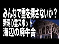 【新潟県・心霊スポット配信】海辺の廃牛舎で、1人頑張れ森島