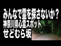 【神奈川県・心霊スポット配信】せどむら坂で、1人頑張れ森島