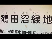 鶴田沼緑地（ひょうたん沼）（栃木）【心霊散歩生配信】