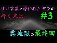 【酷道】甘い言葉の行く末は。卑猥な渓谷3/3【車載】