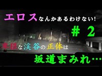 【酷道】エ●スの代わりに地獄あり！卑猥な渓谷2/3【車載】