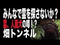 【埼玉県・心霊スポット配信】畑トンネルで、1人頑張れ森島　幽霊だけじゃない人面犬も出没（？）したと噂のあるトンネルです。