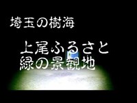 埼玉の樹海　地主の怨念か！？　カメラの前に地主の霊が撮れた！？　【上尾ふるさと緑の景観地】心霊スポット