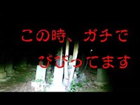 ガチで犬の鳴き声が！！！　千葉最怖心霊スポット　【犬殺しの坂】