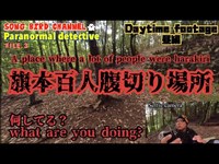 【 Paranormal detective 】科学アイテム総動員で幽霊を探してみる的な海外によくありそうなやつ【FILE.3 旗本百人腹切り場所 昼編】