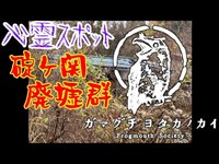 【心霊スポット】碇ヶ関廃墟群_20201116