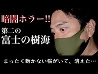 【猫だ！】心霊…第二の富士の 樹海へ【自殺の名所で暗闇ホラー】