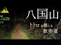 【心霊】トトロを感じる散歩道に落ち武者の霊が出る？【八国山】