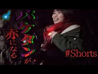 心霊スポットで危険を知らせる赤。 #Shorts