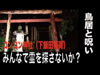 【千葉県・心霊スポット配信】コンコン神社（下飯田稲荷）で、1人頑張れ森島