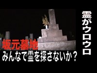 【鹿児島県・心霊スポット配信】坂元墓地で、1人頑張れ森島