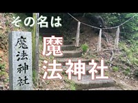 【神社巡り⛩・パワースポット巡り