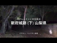 TwitCasting Live 徘怪散歩【新府城跡】(下) 山梨県