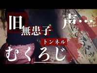 石川県【心霊スポット】ムクロジトンネルにいってみた…（昼ver.）