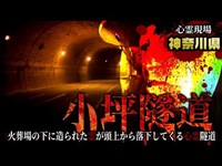 【心霊】火葬場の下に造られた霊が頭上から落下してくる心霊隧道「小坪トンネル」詳細は概要欄から