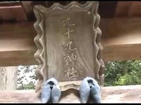 九十九神社