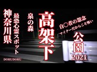 【心霊LIVE動画 閲覧注意】 神奈川県最恐心霊スポット 泉の森高架下トンネル