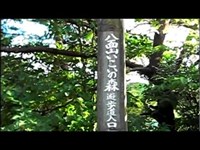 【大分県最強心霊スポット】八面山大池・・すすり笑う女性の怨霊【心霊動画】