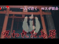 【心霊】首のない女性を追え！一人で心霊スポットを調査せよ【高津神社】