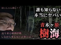 #2 霊峰樹海の中でも、もっとも自◯者が多く地元民の間でも怪奇現象が目撃された現場での徹底検証