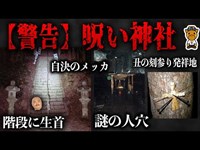 【危険度SSS級】何が起きても保証できない恐ろしすぎる神社