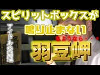 【心霊】スピリットボックスが騒ぐ羽豆岬【ダイエット】