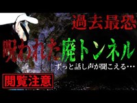 【心霊スポット】過去最恐！旧五十島トンネルで聞き取れない話し声が襲い掛かる