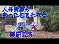 なんばー031