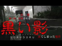 【心霊 黒い影を目撃した場所】超怖い心霊 Ghost Live 神奈川県の危険な場所