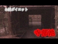 【心霊】不気味な桟橋でスピリットボックスが反応 寺部池【ダイエット】