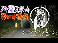 梨の木隧道_20210721