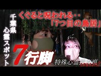 #心霊#呪い#特殊心霊捜査班　「７つの鳥居を通ると呪われる」必殺ネコダマシ心霊スポット7行脚