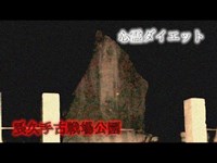 【心霊】街中にある異空間スピリットボックスが騒ぐ 長久手古戦場公園【ダイエット】