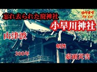 【ニッチな第二十回】幾度もの天災により忘れ去られた廃神社　「小早川神社」【心霊スポット】