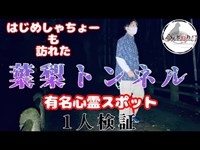 過去にはじめしゃちょーも来た｜葉梨トンネル【心霊1人検証】