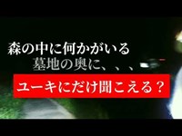 此処は本当にヤバ過ぎた‼️　　森の中に何か居る⁉️　　　　　　　京都府　千日墓地