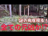 【廃道】【心霊スポット】伊賀・長野峠の廃トンネル付近が衝撃の光景に！謎の鳥居と祠も発見！三重県『長野隧道』明治・大正編　前半