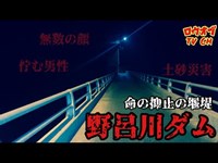 【ニッチな第三十回】無数の顔と佇む男性の真相　命の抑止の堰堤「野呂川ダム」【心霊スポット】