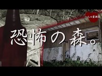 【心霊】人が〇過ぎて閉鎖された森に一人で泊まってみた【大山林道廃キャンプ場】