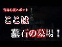 【心霊スポット】霊園で墓石の墓場を見た！