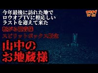 【ニッチな第三十四回】転がる観音様像と寂しげなお地蔵様　ロウオブTVに相応しいラストを迎えた今年最後のフィルム「山中のお地蔵様」【心霊スポット】