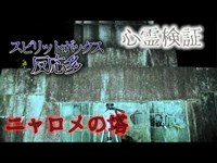 【心霊】複数の霊に囲まれてる？ニャロメの塔【検証】