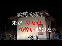 【心霊】少女の霊が彷徨う公園【探索】#心霊 #心霊スポット #バケトン